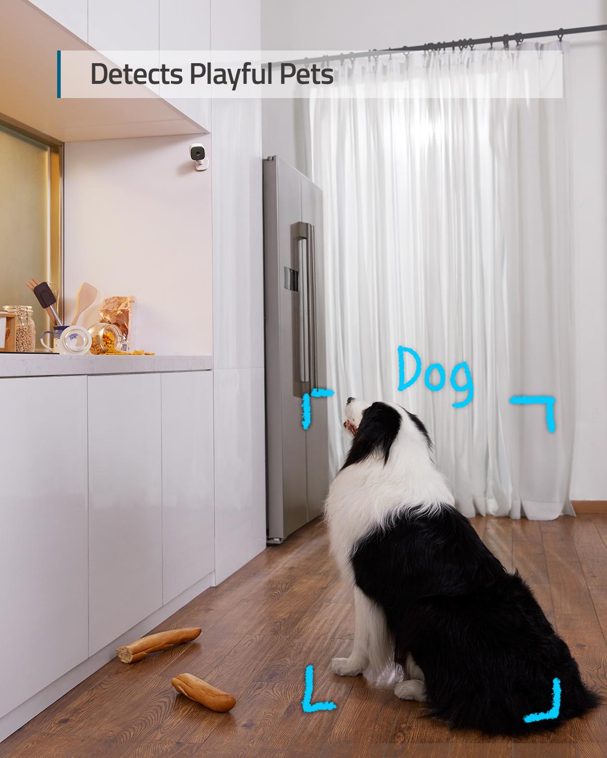 eufy-Security-2K-Indoor-Cam-Plug-in-Security-Indoor-Camera-with-Wi-Fi-Human-and-Pet-2